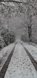 Snow-covered forest path in winter scene.