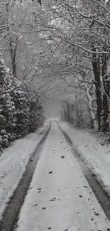 Serene snowy forest path winter wallpaper.