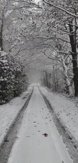 Snow-covered forest path in winter scene.