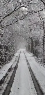 A serene snowy forest path lined with leafless trees in winter.