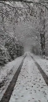 Snow-covered forest path in winter scene.