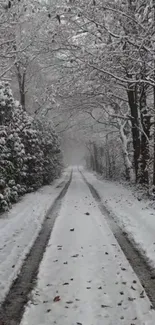 A tranquil snowy path through a winter forest.