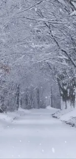 Snowy forest path with falling snow.