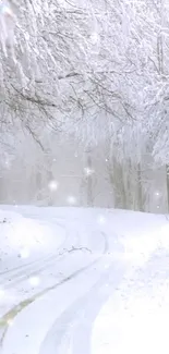 Snowy forest path in winter with frosty trees.