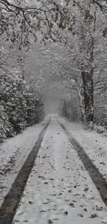 Serene snowy forest path with tire tracks, capturing winter tranquility.