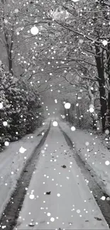 Serene snowy forest pathway with falling snow.