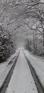 A tranquil snowy path through a winter forest, surrounded by trees.