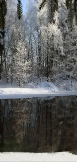 Snowy forest reflected in a tranquil lake under a clear blue sky.