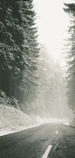 Serene snowy road through a misty forest landscape.