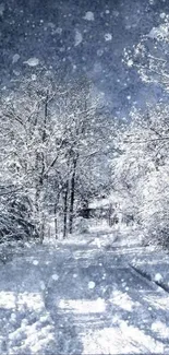 Serene snowy forest scene with winter beauty.