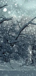 Serene forest with snow-covered trees and gentle snowfall.