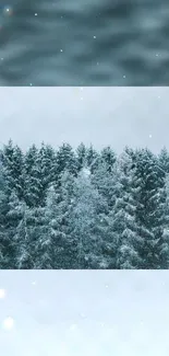 Tranquil snowy forest wallpaper with evergreen trees.