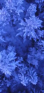 Aerial view of a snowy forest with a blue hue for a mobile wallpaper.