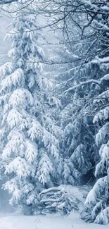 Serene snowy forest with snow-covered trees.