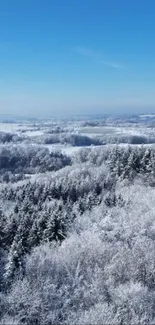 Snowy forest with a clear blue sky wallpaper.