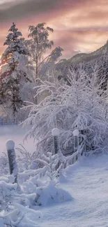 Serene snowy forest at sunrise.