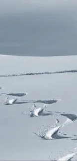 Snowy landscape with tracks in the snow under a gray sky.