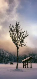 Serene snowy landscape with a lone tree at dusk.