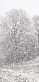 Snowy landscape with bare trees and falling snow.