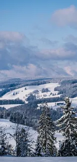 Snowy mountain landscape with frosted trees and a blue sky.