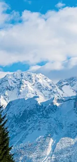 Serene snowy mountain landscape under a bright blue sky with tree silhouettes.