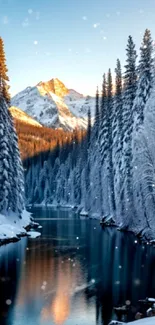 Snowy mountain river with winter trees reflecting in the water.