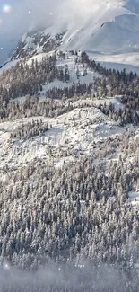 Snowy mountain landscape with misty sky.