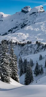 Snow-covered mountains with trees and blue sky.