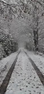 A snowy forest path enveloped in tranquil winter beauty.