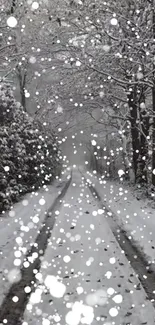 A serene path covered with snow, framed by snow-covered trees.