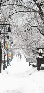 Snowy path with trees and lamps in winter scene.