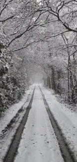 Snowy forest path with frosty trees on a tranquil winter day.