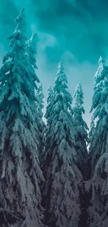 Serene snow-covered pine forest under teal sky wallpaper.