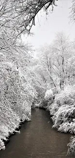 Serene river with snow-covered trees in winter.