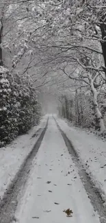 A serene winter road covered in snow amidst a tranquil forest.