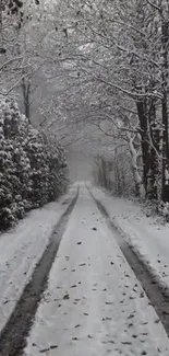 A serene snowfall on a road through leafless trees, creating a tranquil winter scenery.