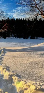 Serene snowy landscape with clear blue sky.