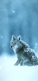 Serene wolf sitting in a snowy landscape with a soft blue background.