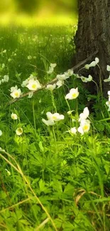 Spring flowers bloom under a tree on lush green grass, creating a serene scene.