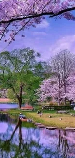 Beautiful spring cherry blossom landscape with a tranquil lake.