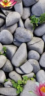 Smooth gray stones with flowers and greenery on mobile wallpaper.