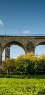 Stone arch bridge with green field under blue sky.