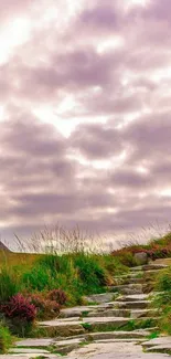 Stone path through green grass under a purple cloudy sky.