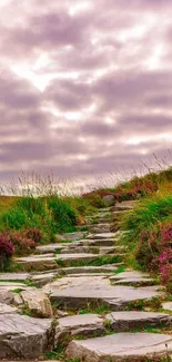 Scenic stone path through lush greenery under a cloudy purple sky.