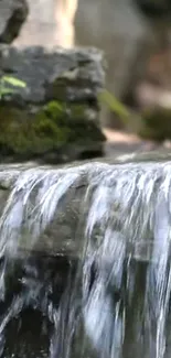 Serene waterfall cascading over mossy stones in nature.