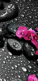 Wet black stones with pink orchids on wallpaper.
