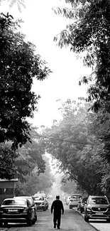 Black and white street scene with trees and cars.