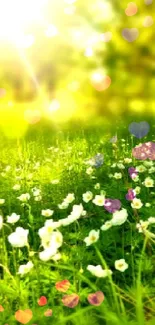 Sunlit meadow with white flowers and green grass under a tree.