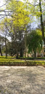 A serene sunlit park pathway with lush green trees and cobblestone path.