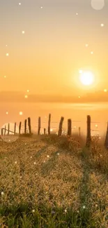 Sunrise over a peaceful country scene with soft light enhancing the landscape.